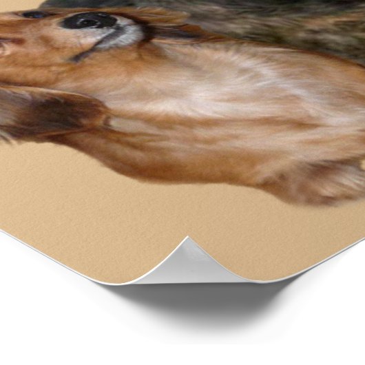 Dachshund Gang Print (Hoek)