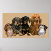 Dachshund Gang Print (Voorkant)
