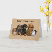Dachshund Gang Wenskaart Kaart (Gele Bloem)