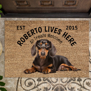 Dachshund Gepersonaliseerde Hondenliefhebbers Deur Deurmat