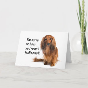 Dachshund Get Well Card Kaart