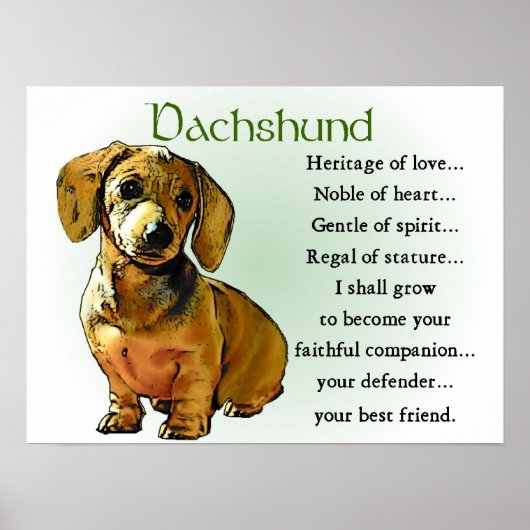 Dachshund Gifts Dachshund Posters Prints (Voorkant)