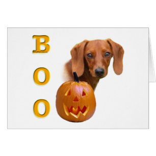 Dachshund (glad) Boo