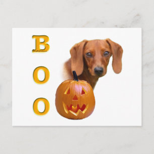 Dachshund (glad) Boo Briefkaart