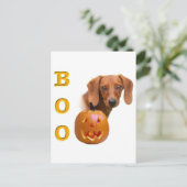 Dachshund (glad) Boo Briefkaart (Staand voorkant)
