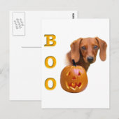 Dachshund (glad) Boo Briefkaart (Voorkant / Achterkant)