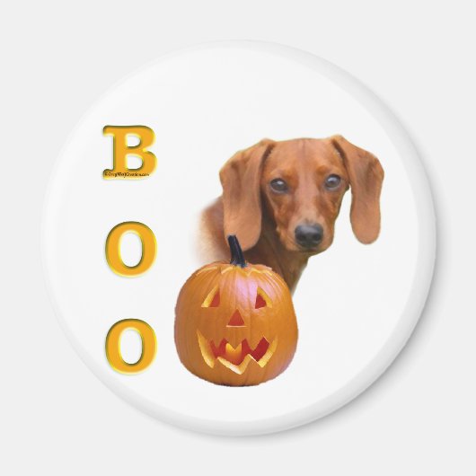 Dachshund (glad) Boo Magneet (Voorkant)