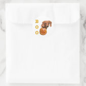 Dachshund (glad) Boo Ronde Sticker (Tas)