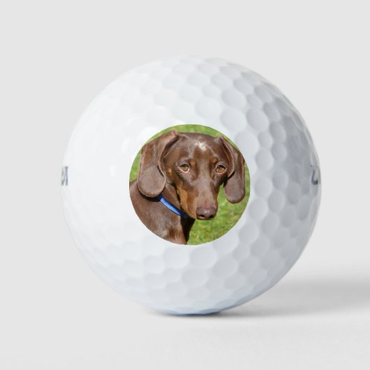 Dachshund Golfballen (Voorkant)