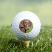 Dachshund Golfballen (Insitu Shirt)