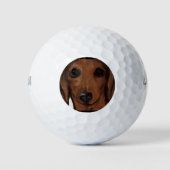 DACHSHUND GOLFBALLEN (Voorkant)