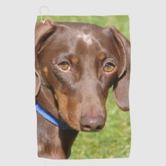Dachshund Golfhanddoek (Voorkant)