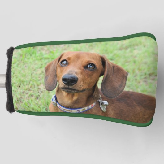 Dachshund Golfheadcover (Voorkant)