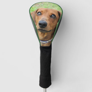 Dachshund Golfheadcover