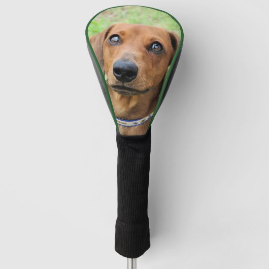 Dachshund Golfheadcover (Voorkant)