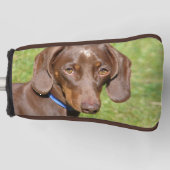 Dachshund Golfheadcover (Voorkant)