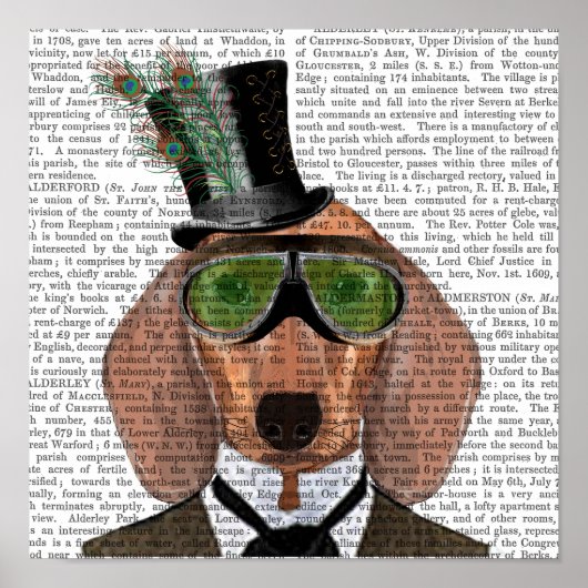 Dachshund Green Goggles Top Hat Poster (Voorkant)