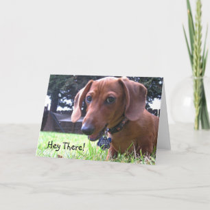 Dachshund Groeten Kaart