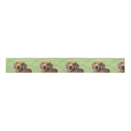 Dachshund Grosgrain Lint