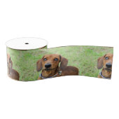 Dachshund Grosgrain Lint (Spoel)