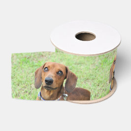 Dachshund Grosgrain Lint