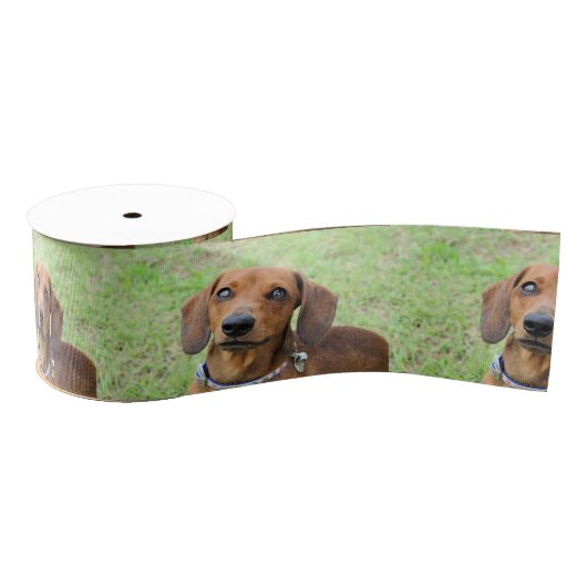 Dachshund Grosgrain Lint (Spoel)