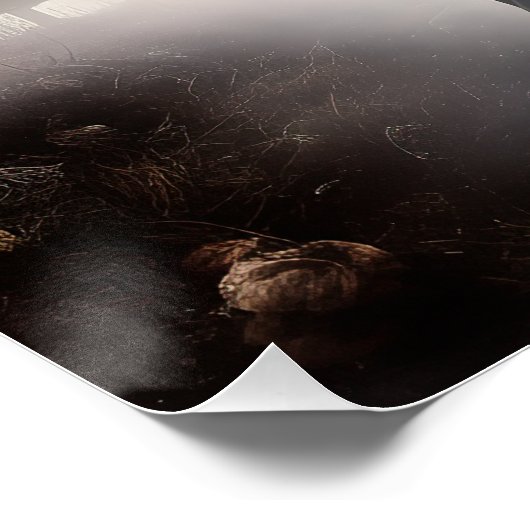 Dachshund Halloween eng Perfect Poster (Hoek)