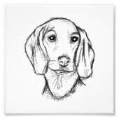 dachshund hand drawn sketch black white puppy dog  foto afdruk (Voorkant)