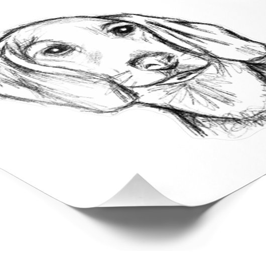 dachshund hand drawn sketch black white puppy dog  foto afdruk (Hoek)