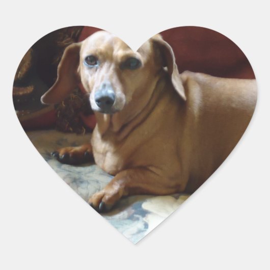 Dachshund Hart Sticker (Voorkant)