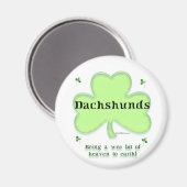 Dachshund Heaven; St. Patrick's Day Dachshund Magneet (Voorkant / Achterkant)