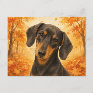 Dachshund Herfst Bos Hond Briefkaart