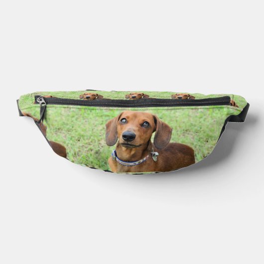Dachshund Heuptasje (Liggend)