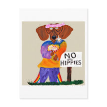 Dachshund Hippie bij bordje Geen Hippies
