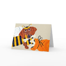 Dachshund hommel met hondenbrokjes