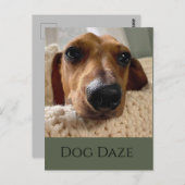 Dachshund Hond Dagen Ansichtkaart Briefkaart (Voorkant / Achterkant)