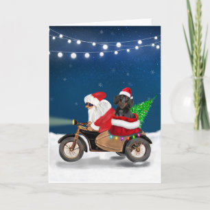 Dachshund hond Kerstman Kaart