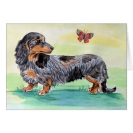 Dachshund hond met vlinder