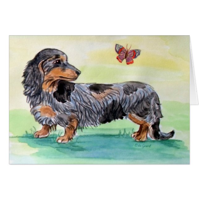 Dachshund hond met vlinder (Voorkant Horizontaal)