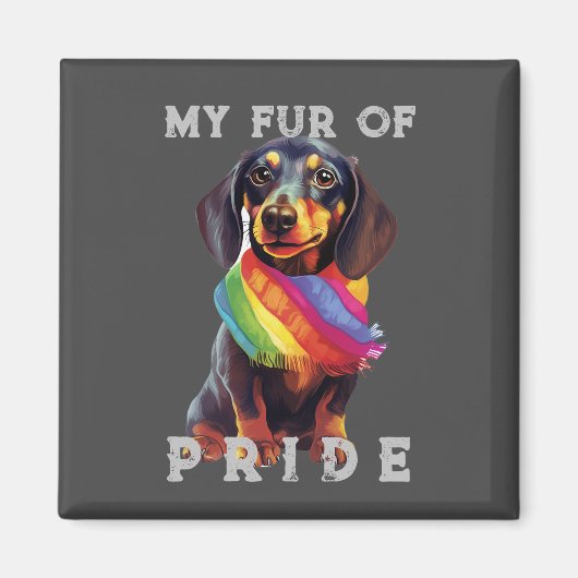Dachshund Hond Rainbow Grappig Mijn Bont Pride Magneet (Voorkant)