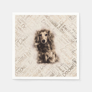 Dachshund-hond van Longhaire Servet