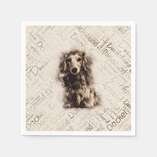 Dachshund-hond van Longhaire Servet (Voorkant)