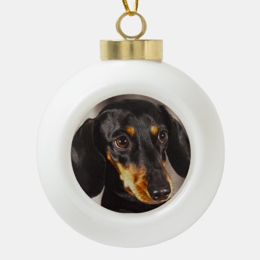 Dachshund Hond Water Kleur Olieverf Kunst Keramische Bal Ornament (Voorkant)