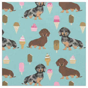 Dachshund-honden houden van ijs stof