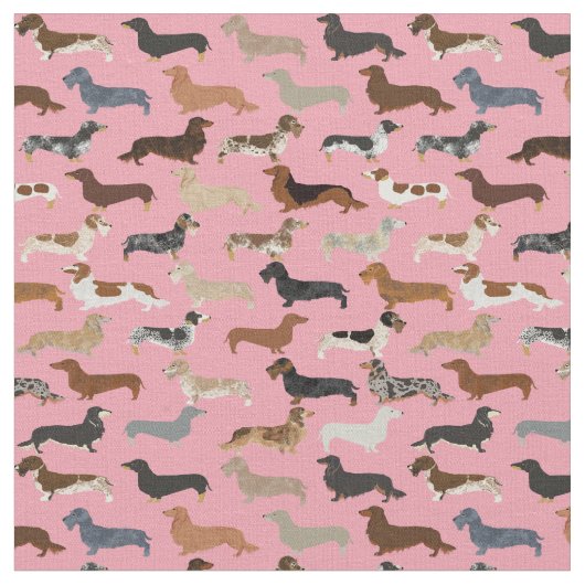 Dachshund-honden roze stof (Close Up)
