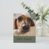 Dachshund hondenfeest postkaart (Staand voorkant)