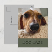 Dachshund hondenfeest postkaart (Voorkant / Achterkant)