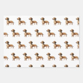 Dachshund hondenliefhebber verjaardagsfeest inpakpapier vel (Voorkant 3)