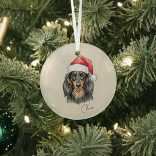 Dachshund Hondenportret en Naam Kerstmis Glas Ornament