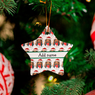 Dachshund Hondenras Kerstmis Keramisch Ornament